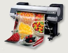 canonipfs